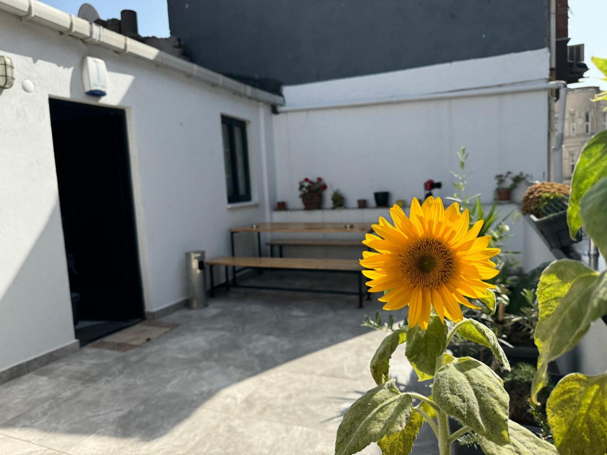Apartamento Savcibey Building Estambul Exterior foto
